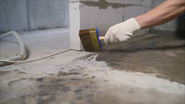 24/7 Emergency Wet Basement Repair experts in Elora, TN